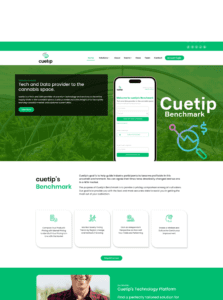 Web Design Portfolio: Cuetip