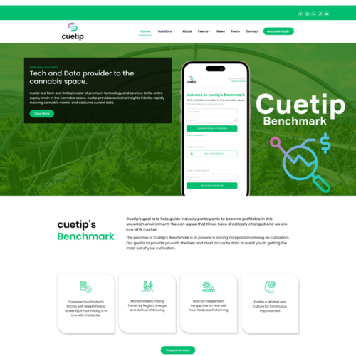 Web Design: Cuetip